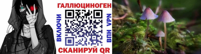 Псилоцибиновые грибы MAGIC MUSHROOMS  Купить закладки  Велиж 